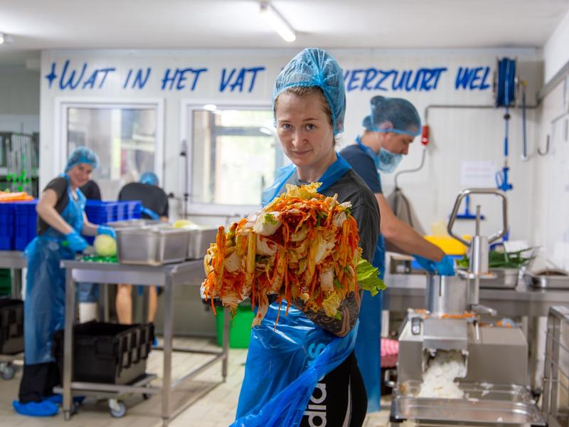 basic theory fermenteren groothandel