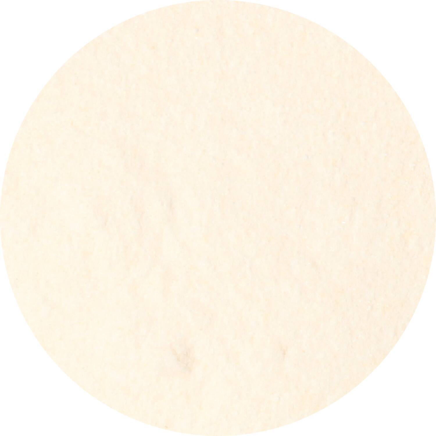 Dutch Spices tasty brine mix 7kg