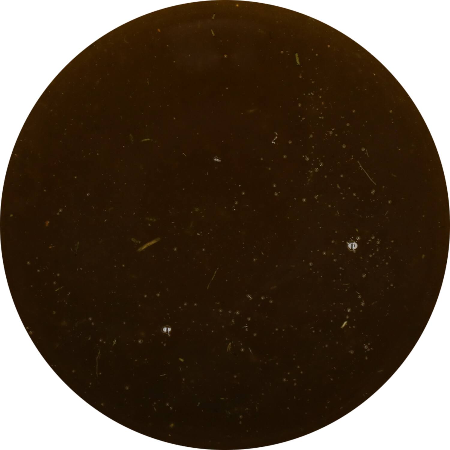 Epos dressing carpaccio 1kg