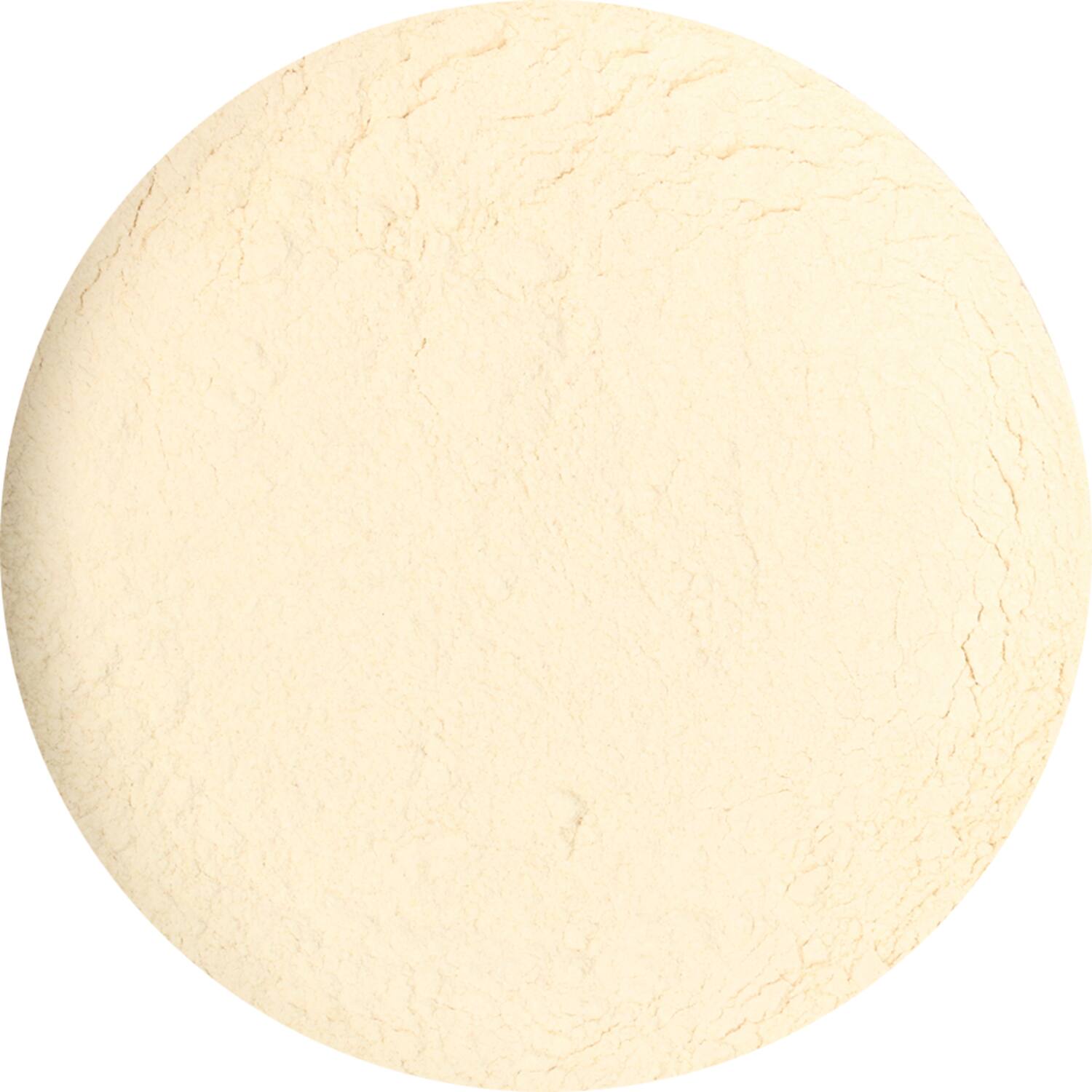 Dutch Spices onion powder 1,5kg emmer