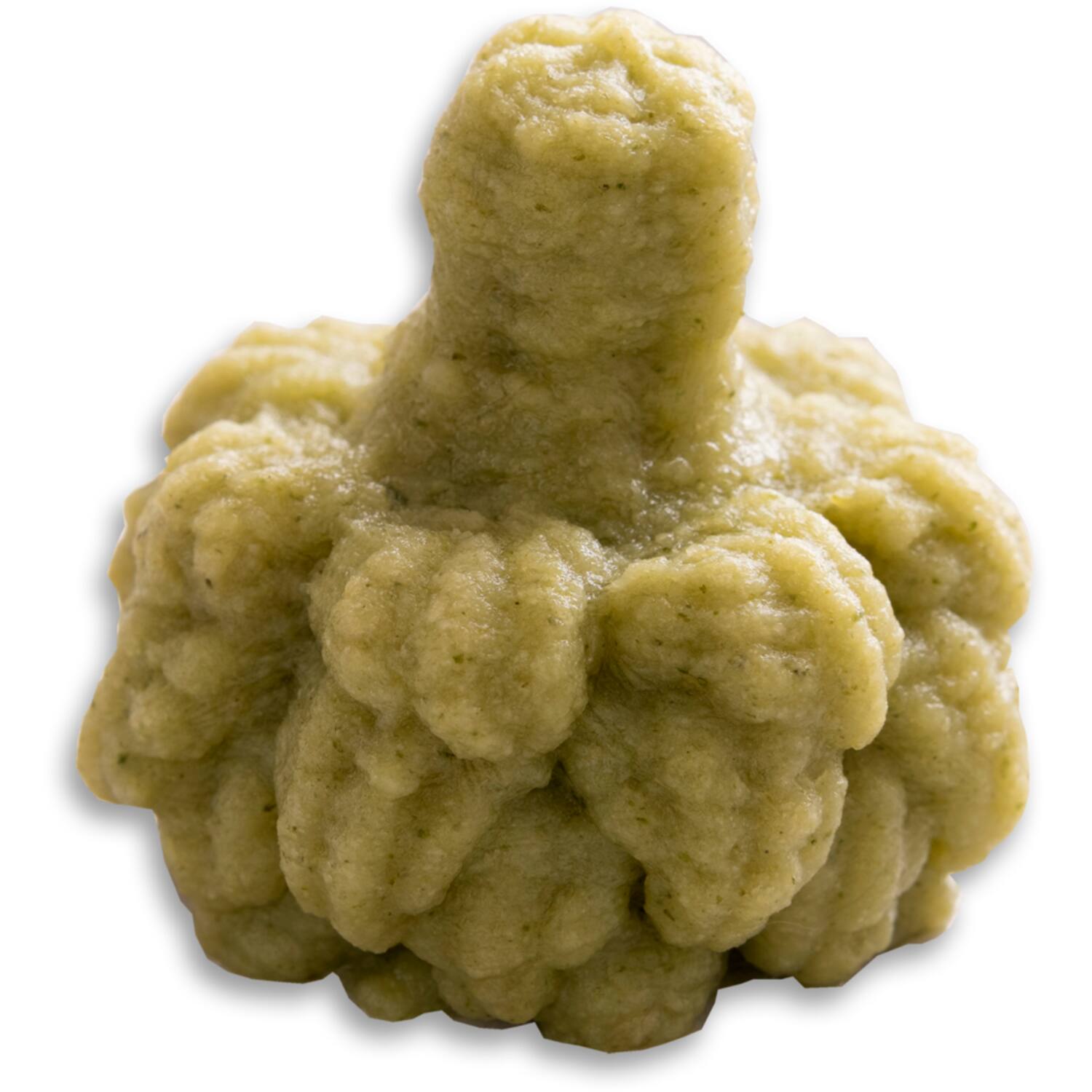 Dysphalicious broccoli 20x50g
