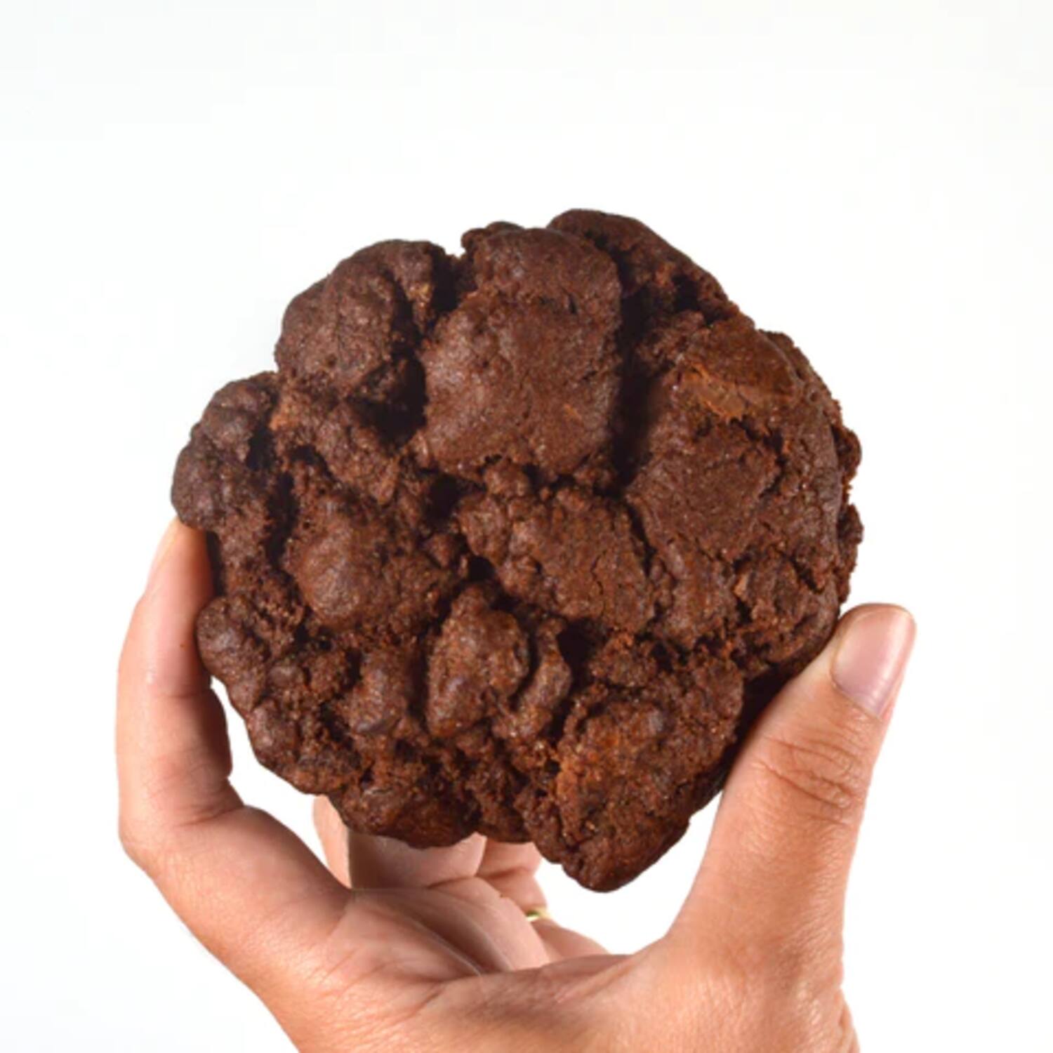 Coffeelicious koeken dubbele chocolade 100x100g