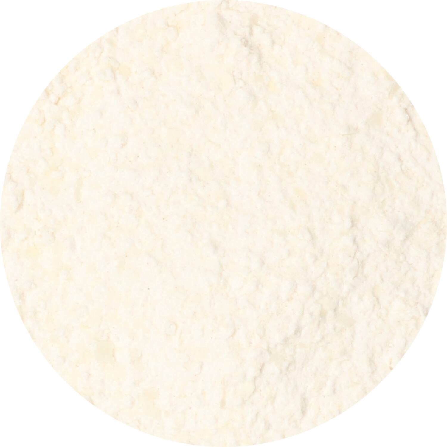 Dutch Spices meat binder 2.0 10kg