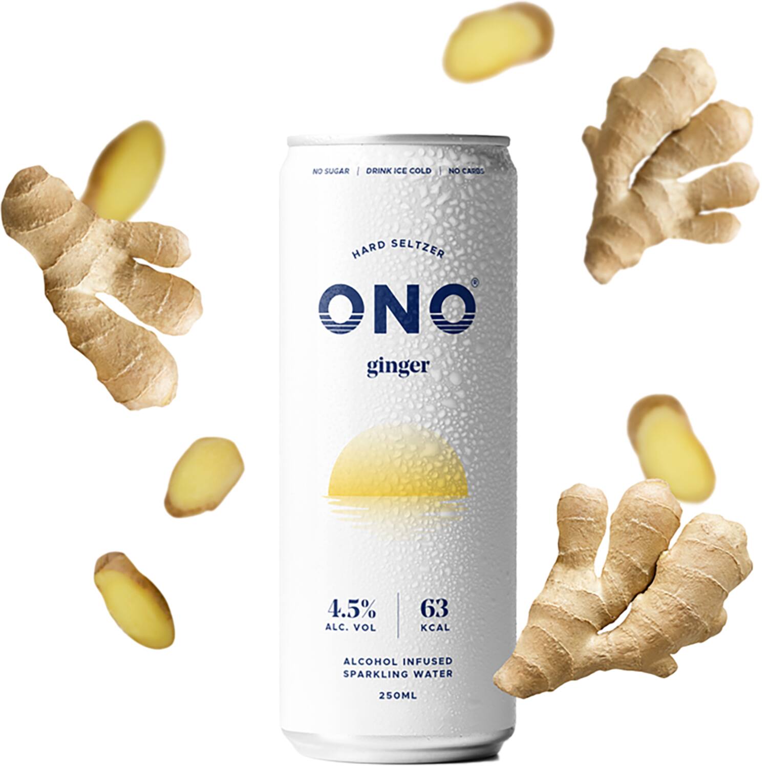 ONO hardSeltzer gember 12x250ml