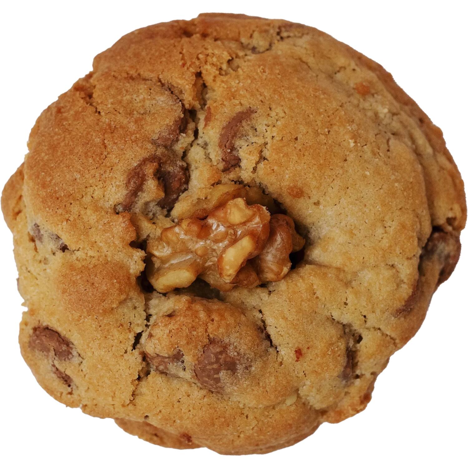 Coffeelicious koeken chocolate chip walnoot 100x100g