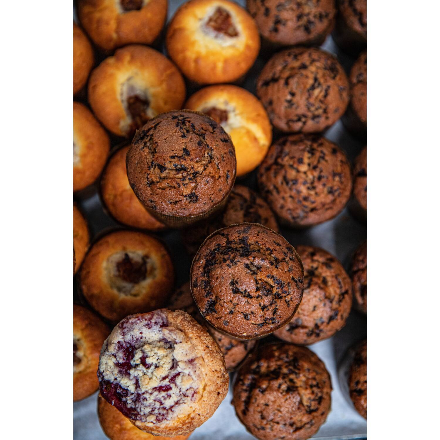 Bakkertje Bol muffins chocolade 25st