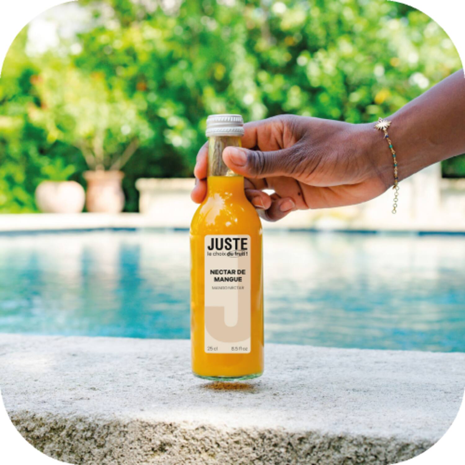 Juste mango nectar 12x250ml