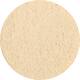 Dutch Spices garlic powder 1,5kg emmer