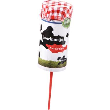 Boerderijs roomijs boerinnetje vanille-aardbei 18x90ml