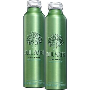 Soul Water water 12x500ml