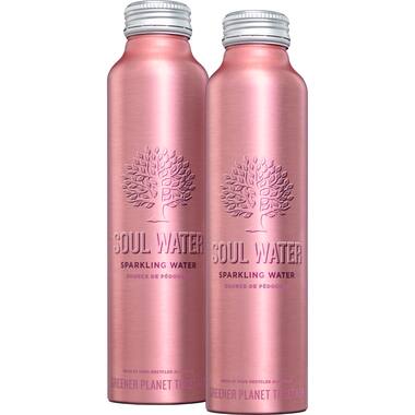 Soul Water water bruisend 12x500ml
