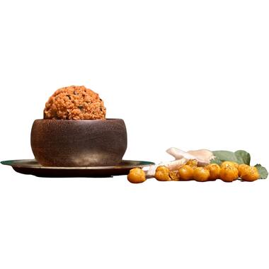 Joppah Bites cassavesnacks oesterzwam-kerrie 54x30g