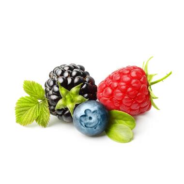 WOW bosvruchten IQF 5x1kg