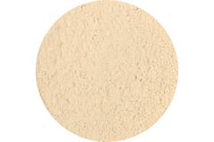 Dutch Spices garlic powder 1,5kg emmer