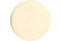 Dutch Spices onion powder 1,5kg emmer