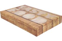 cateringds >Tastyfood <557x376x80mm