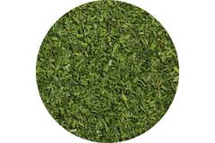 Van Beekum bieslook tubulair 70g