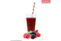 WOW fruitsmoothie aardbei-framboos-braam 33x150g