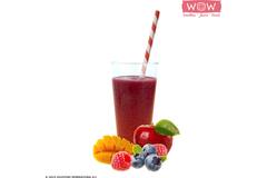 WOW fruitsmoothie framboos-appel-mango-bosbes 33x150g