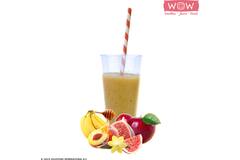 WOW fruitsmoothie vijg-honing-vanille-perzik-banaan 33x150g