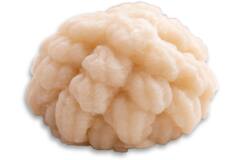 Dysphalicious bloemkool 20x50g