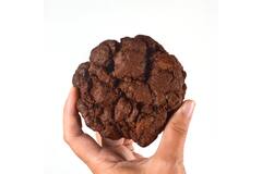 Coffeelicious koeken dubbele chocolade 100x100g