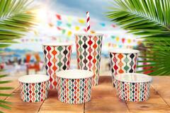 Premium Quality ijsbakjes 150ml Ø9,2x4,8cm 20x50st