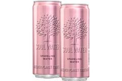 Soul Water water bruisend 24x330ml