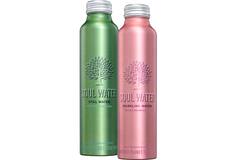 Soul Water water 12x500ml