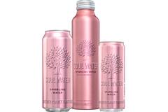 Soul Water water bruisend 24x330ml