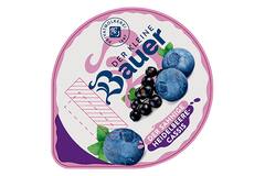 Bauer roomyoghurt vruchten assorti met 4 smaken 20x150g