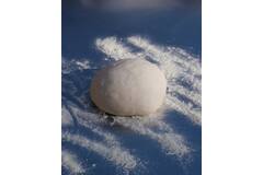 Pizzabol pizzadeegbol 36x250g