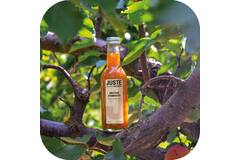 Juste abrikozen nectar 12x250ml