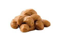 Dysphalicious smaakt naar stoofvlees 12x80g